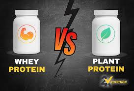 Plant Protein vs. Whey Protein: Which is Right for Your Brand?